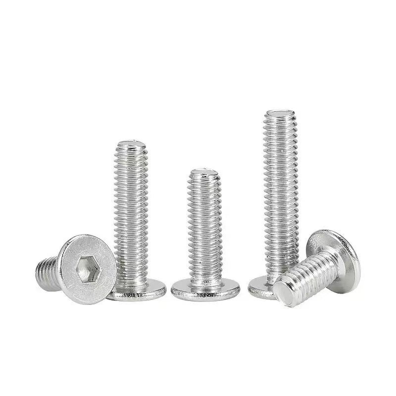 Stainless steel SS201, SS304, SS316 low head socket cap screw DIN 7984